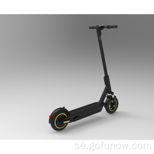 GoFunow avtagbart batterilitium GPS Electric Scooters